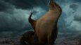 Photo manipulation