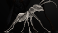 3D Art Portfolio