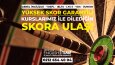 Grafik Tasarım ÖRNEKLERİ