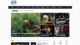 Wordpress Siteler