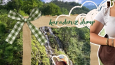 canva tasarım