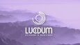 Lucidum - Logo Tasarımı
