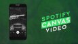 SPOTIFY CANVAS