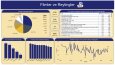 IMDb Film Analizi & Öneri Sistemi — Power BI + Python