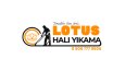 Lotus Halı Yıkama Logo Tasarımı