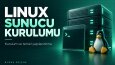 cPanel, Linux ve WordPress Taşıma — Teknik Hizmetler