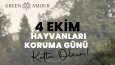 Özel Gün Tasarımları