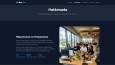 Website & Yönetim Paneli