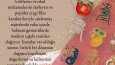 Kore Kültür Merkezi - Sosyal Medya Bilgi Postu
