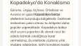 Endoskopi Nedir 