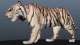 3d animasyon çalışmalarım