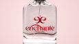 Enchante Perfume - Logo Tasarımı