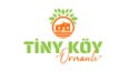 Logo Animasyon (intro)