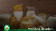 Mandıra mağazası için e-katalog çalışması