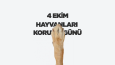 Özel Günler Videolarım