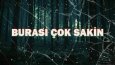 Kişisel Konsept Logo Tasarımı