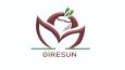 Logo Tasarımları