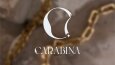 Logo Tasarımı