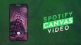 SPOTIFY CANVAS