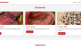 Örnek- Web Site