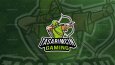 Gaming Logo Tasarımları