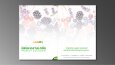 Profesyonel katalog ve broşür tasarımlarım