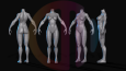 Basemesh