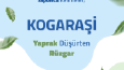 Sosyal Medya Paylaşımları