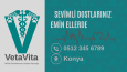 VetaVita-Modern Kartvizit Tasarımı