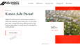 Web Tasarımları