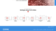 Sunfrac Web Yazılım