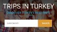Wordpress Web Site