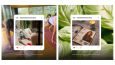 Authentic Beauty Concept  - Social Media Design & Management