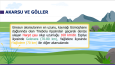 Power point sunuları