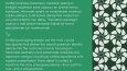 Cofftail - Kurumsal Kimlik Tasarımı