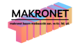 Makronet- Logo Tasarımı