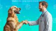 Petshop