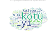 Google İşletme Yorumları Analizi