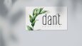 Dant Güzellik Konsept Logo Tasarım