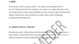 Microsoft Word Rapor Hazırlama