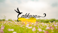 Çalıkuşu Eşarpları