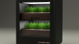Interior Gardening