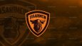 Logo Tasarımları - Hepsi