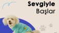 SOSYAL MEDYA YÖNETİMİ