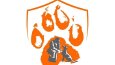 Logo Tasarımı 