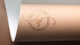 Profesyonel Logo Tasarımı