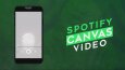SPOTIFY CANVAS