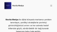 Novita Medya - Anahtar teslim WordPress sitesi