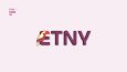 ETNY - Etnik Gıda Tedarik Web Sitesi Logo Tasarımı B2B