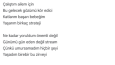 Etkileyici Şarkı Sözü Yazarlığı